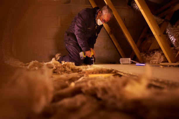 Best Specialized Insulation Services in Fort Polk South, LA